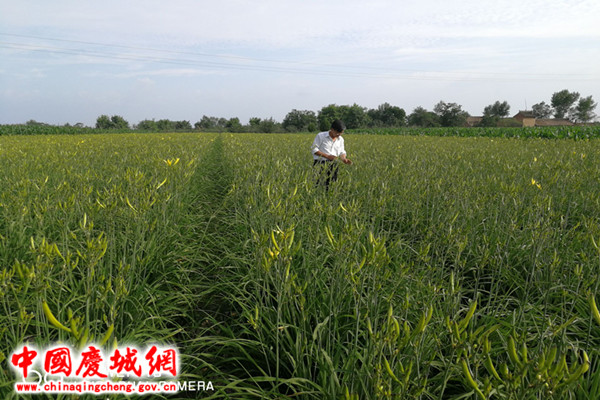 06467eb10f1d4ef4812e2ba1b2272266.jpg 06467eb10f1d4ef4812e2ba1b2272266.jpg