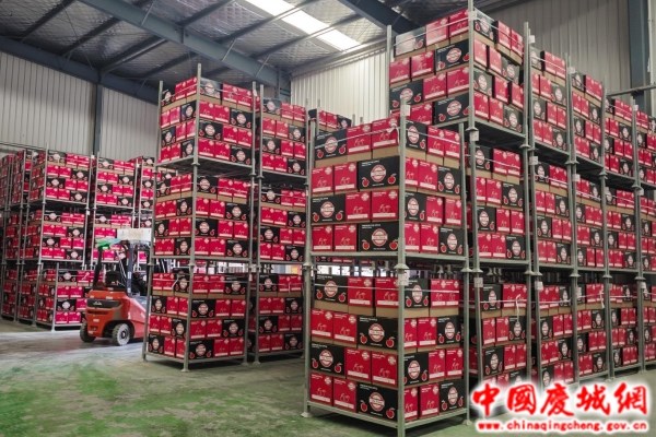 庆城苹果出口菲律宾首柜成功发车