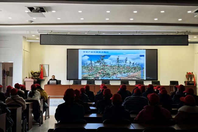 庆城县：果农跨省＂牵手＂ 试验站里话苹果产业未来