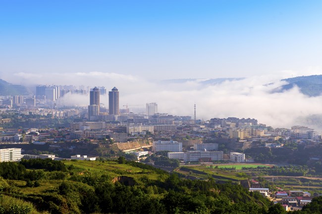 踏浪前行风正劲 奋楫争先谱新篇——庆城县以“三抓三促”行动赋能县域经济社会高质量发展